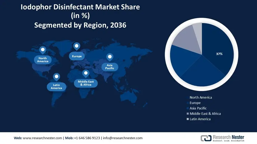 Iodophor Disinfectants Market Size